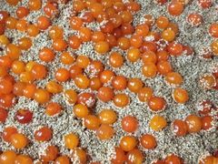 -璐坊粽王(复兴中路店)