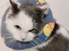 -怪兽屋·羊驼·猫咖·狗咖(俊华广场店)