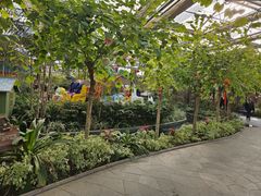 -南宫五洲植物乐园