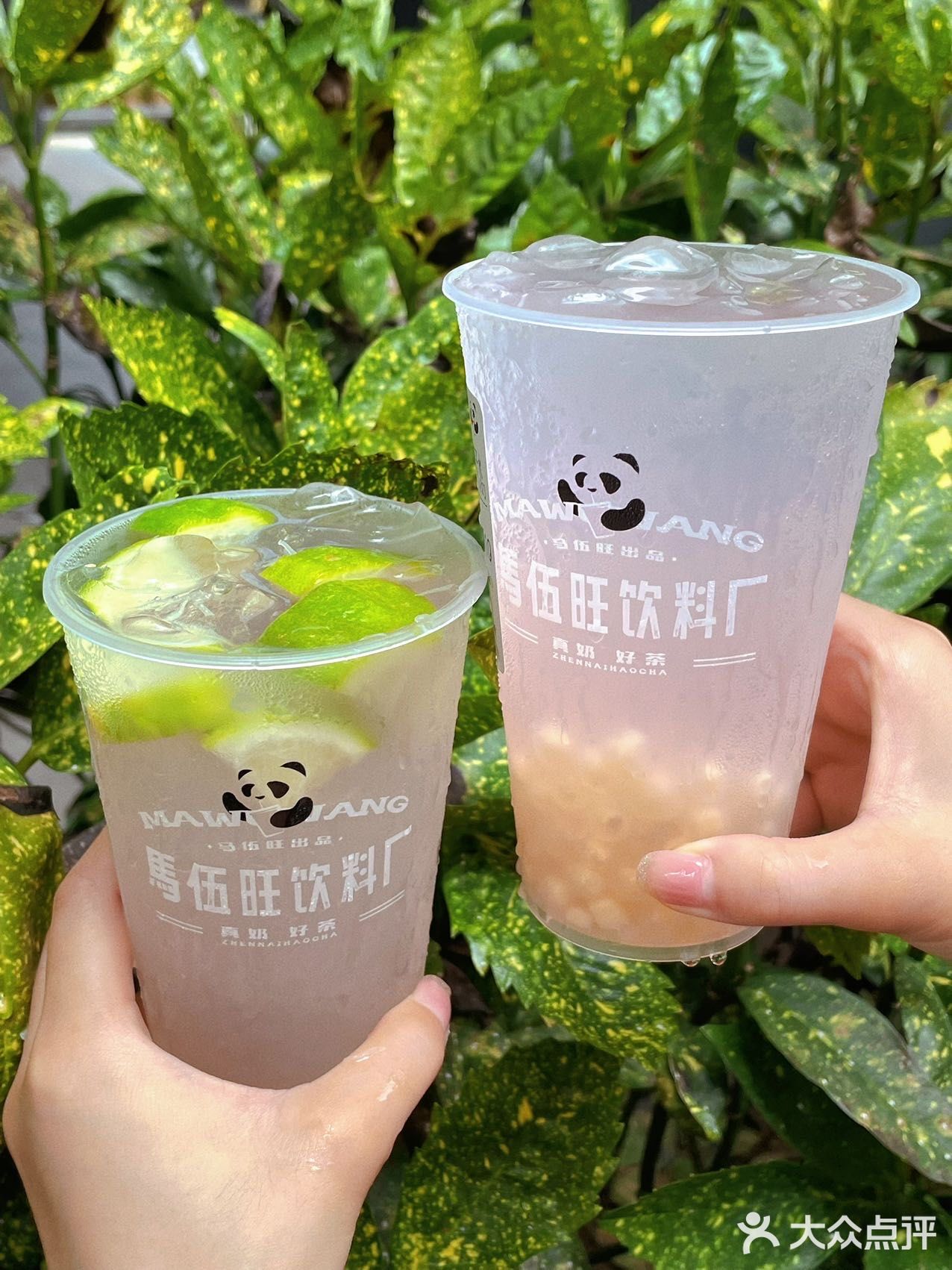 这一杯浪漫的粉椰马蹄水可以永远别下架吗？