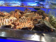 -V-ONE西雅图海鲜自助餐厅(仓山万达广场店)