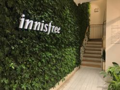 点击看大图 店内环境-悦诗风吟innisfree