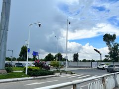 -金系·顺德啫鸡大王(创意产业园店)