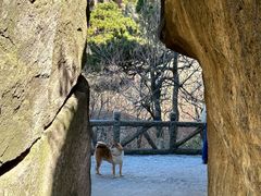 -天柱山风景区