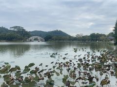 -顺峰山公园
