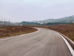 -南山植物园