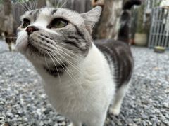 -小时光咖啡馆(开森度假森林店)