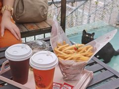 -喵屿·大理花园猫咖