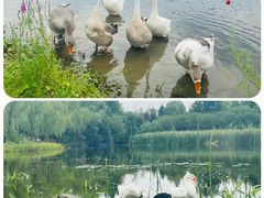 -武汉园博园(武汉自然博物馆)