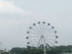 -广东花都香草世界旅游度假区