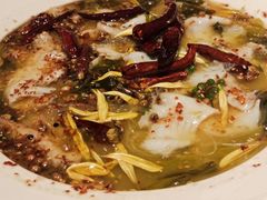 -太二酸菜鱼(汕头苏宁广场店)