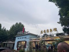 -丁老爷子苏香圆