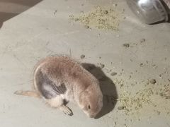 -正佳雨林生态植物园