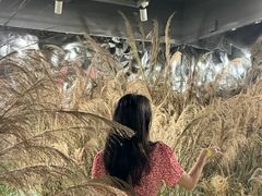 -福田美术馆——新童话主义－周艺文艺术季
