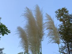 -千岛湖-欢乐水世界