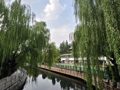 -环城公园