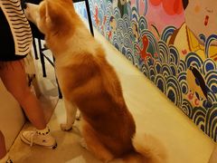 -餐酒吧Com-ing Bar(上海路店)