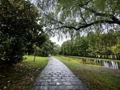 -上海共青森林公园