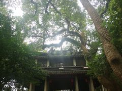 -蒋氏故居