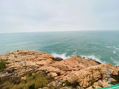-广东惠东海龟国家级自然保护区