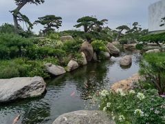 -罗红摄影艺术馆