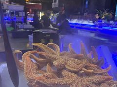 -九月海·海鲜自助(世纪东方店)