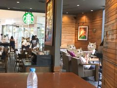 大堂-星巴克臻选(江门汇悦大融城店)