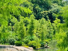 -云溪植物园