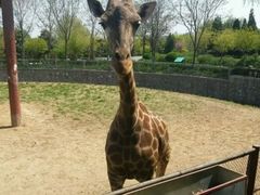 -石家庄市动物园