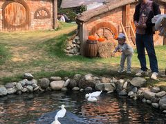 -HERRE·FARM 赫尔露营农场·团建聚会包场