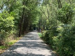 -苏州太湖国家湿地公园