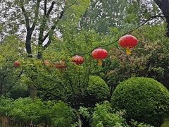 -大槐树寻根祭祖园