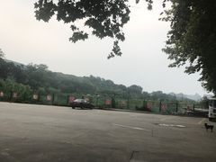 -镇江市南山风景名胜区竹林景区