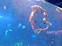 -泉城欧乐堡海洋极地世界