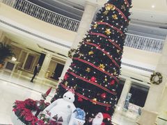 -金茂园大酒店