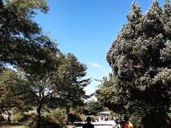 -景福宫