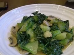 蘑菇大青菜-重元寺香积厨素斋馆
