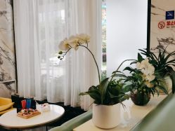 -比华利美容医院