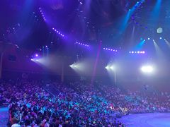 -珠海横琴长隆《卡卡虎奇遇记》