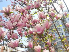 -blt精品超市(北京银座店)