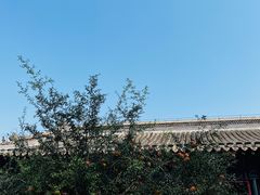 -保定直隶总督署博物馆