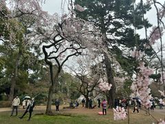 -京都御所