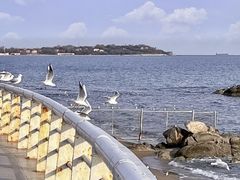 -老虎石海上公园