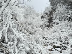 -九峰山