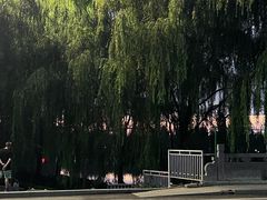 -西安汉城湖景区