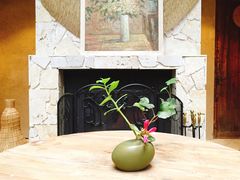 -看见远方·莫干遥远的山民宿