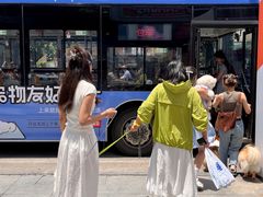 -帕帕拉兹宠物(亚洲旗舰店)