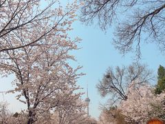 -永和大王(军博店)
