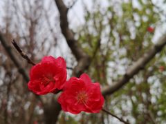 -春晖园度假酒店温泉