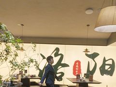 -杏花村水席楼·洛阳水席(老城十字街店)